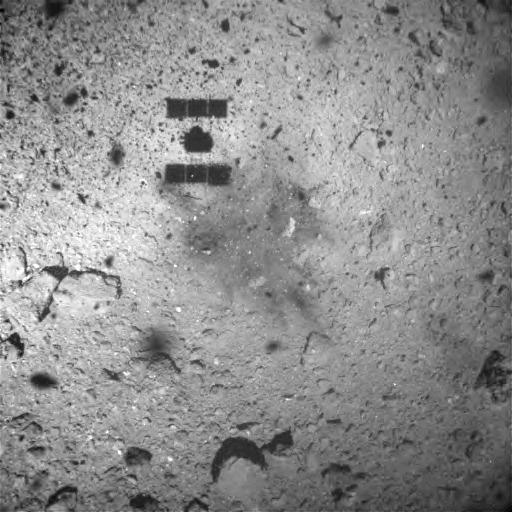 Figure 1: Image captured near the touchdown site immediately after touchdown. The photograph was taken with the Optical Navigation Camera – Wide angle (ONC-W1) on February 22, 2019 at an onboard time of around 07:30 JST. (Image credit ※: JAXA, University of Tokyo, Kochi University, Rikkyo University, Nagoya University, Chiba Institute of Technology, Meiji University, University of Aizu, AIST.)