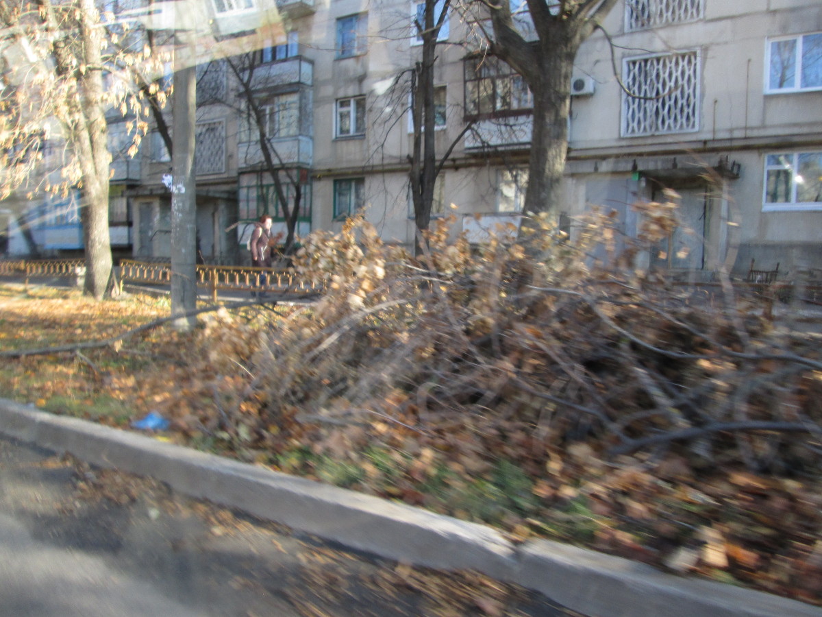 Горы листьев и веток по ул. Кропоткина.