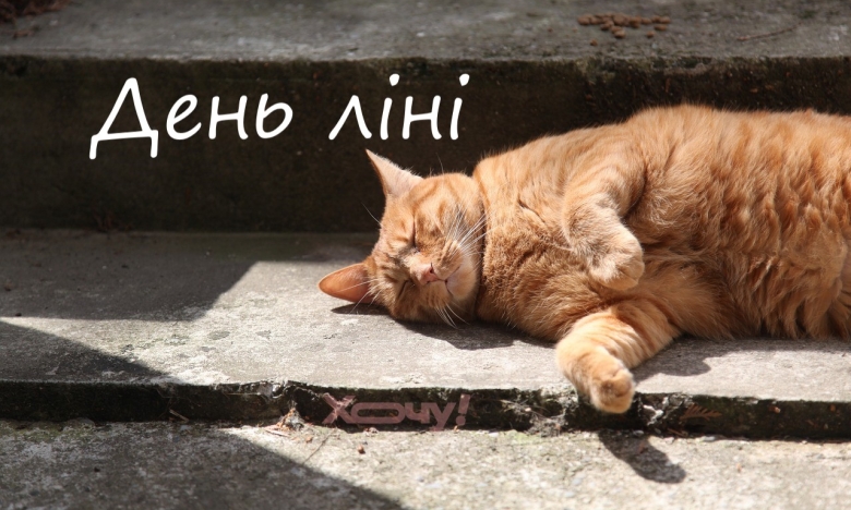 szgyqp c5x3x50px50p d25bfa89c69bc4d0f19e36febcf4fa78