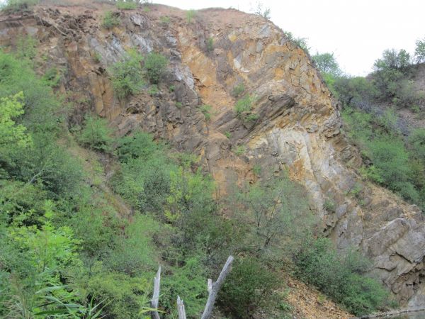 Веселоивановкий карьер, Желтые Воды